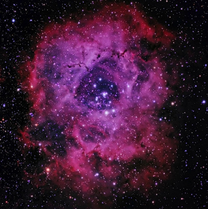 Rosette Nebula