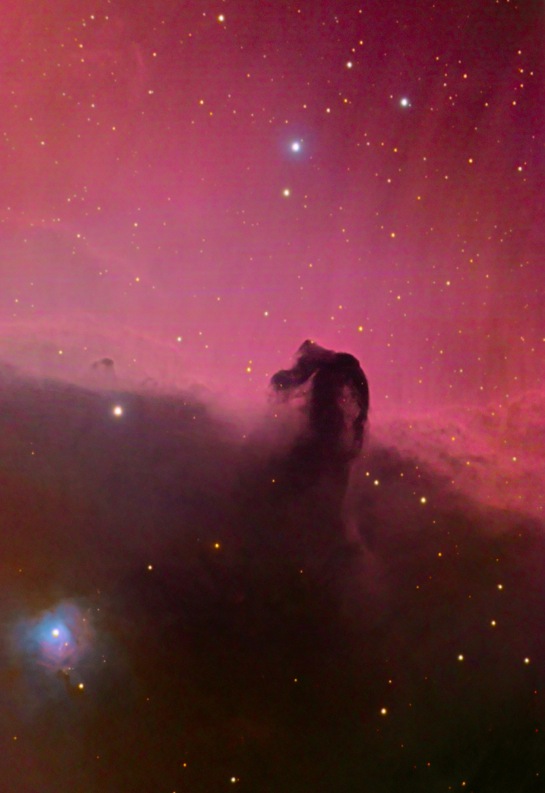 Bernard 33 February11