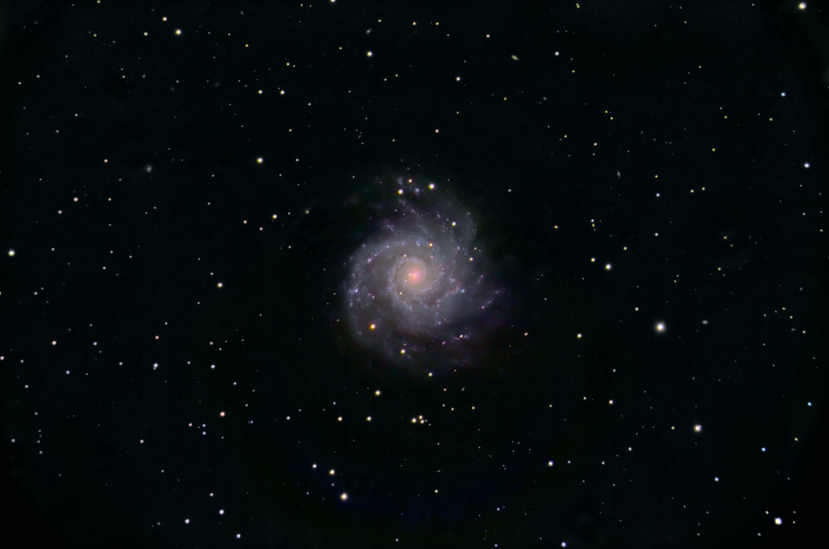 M74 LRGB Aug11