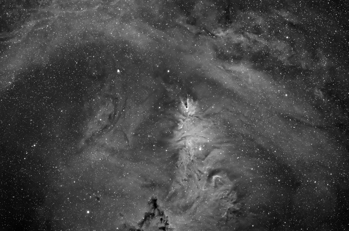 NGC2264 Ha